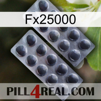 Fx25000 31